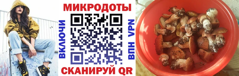 Галлюциногенные грибы Psilocybine cubensis  Батайск 